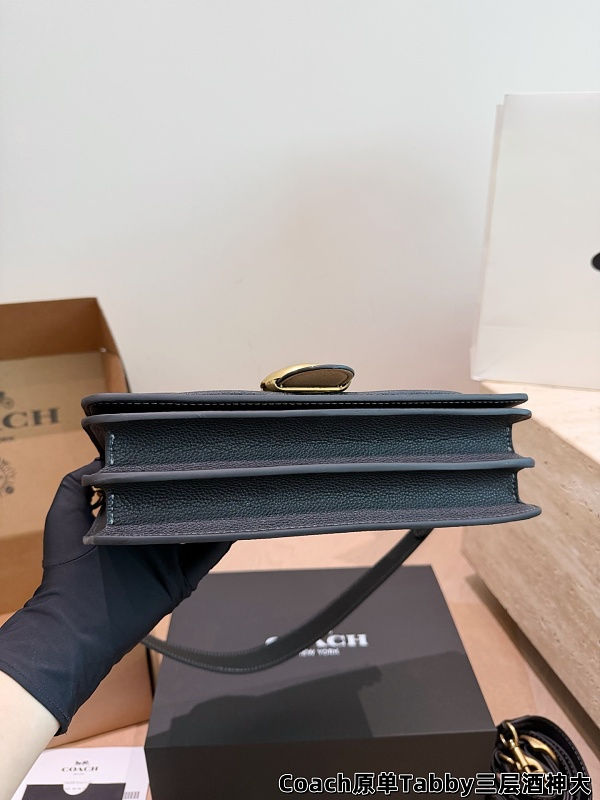 ACP10 Bag 26CM 20CM Shoulder bags With Box